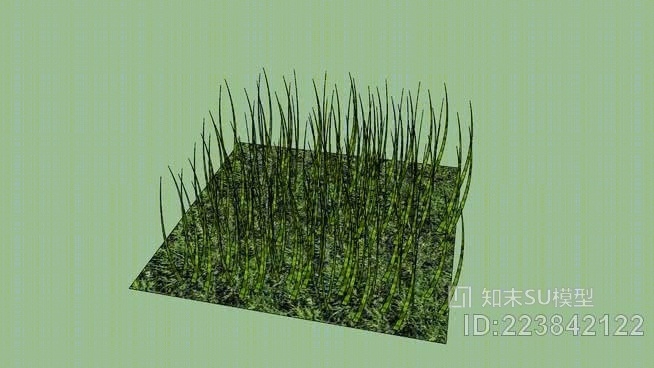 草广场SU模型下载【ID:223842122】