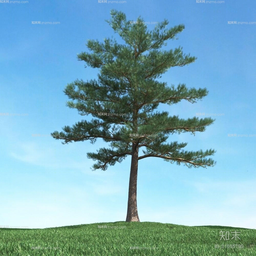 绿色景观树3D模型下载【ID:31055799】