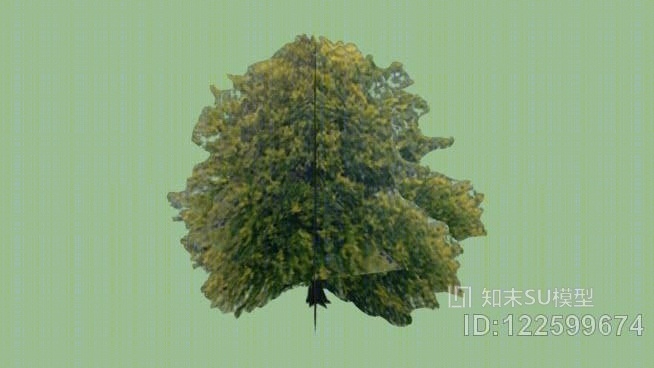 小树06SU模型下载【ID:122599674】