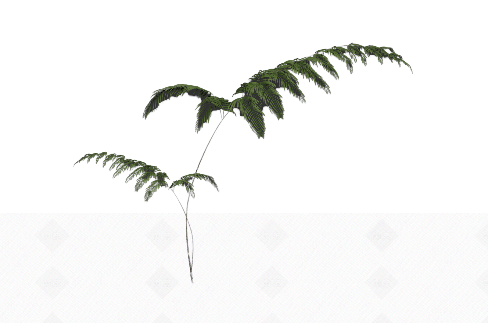 绿色蕨类植物模型3D模型下载【ID:1206194457】