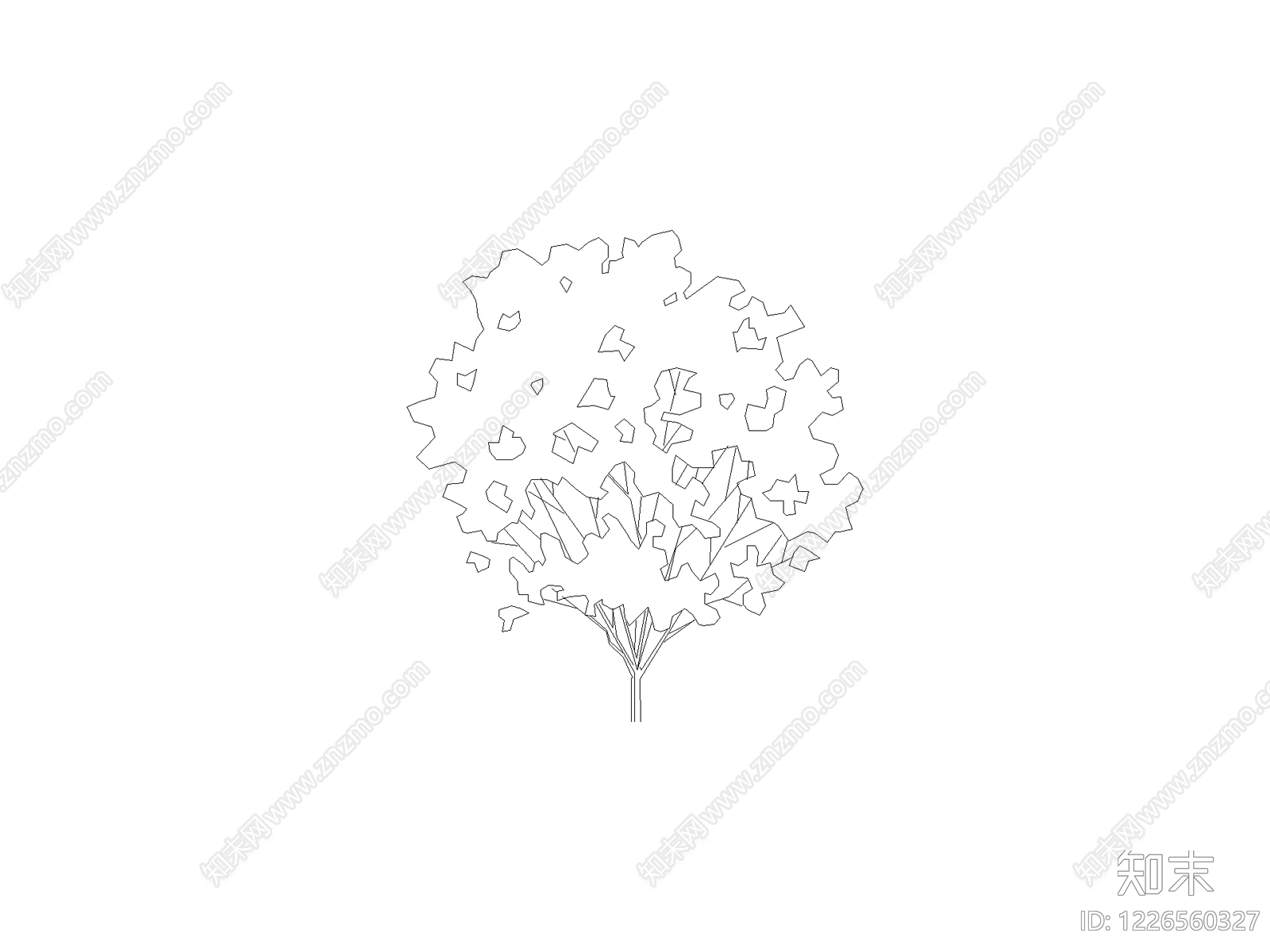 现代乔木种植CAD图纸