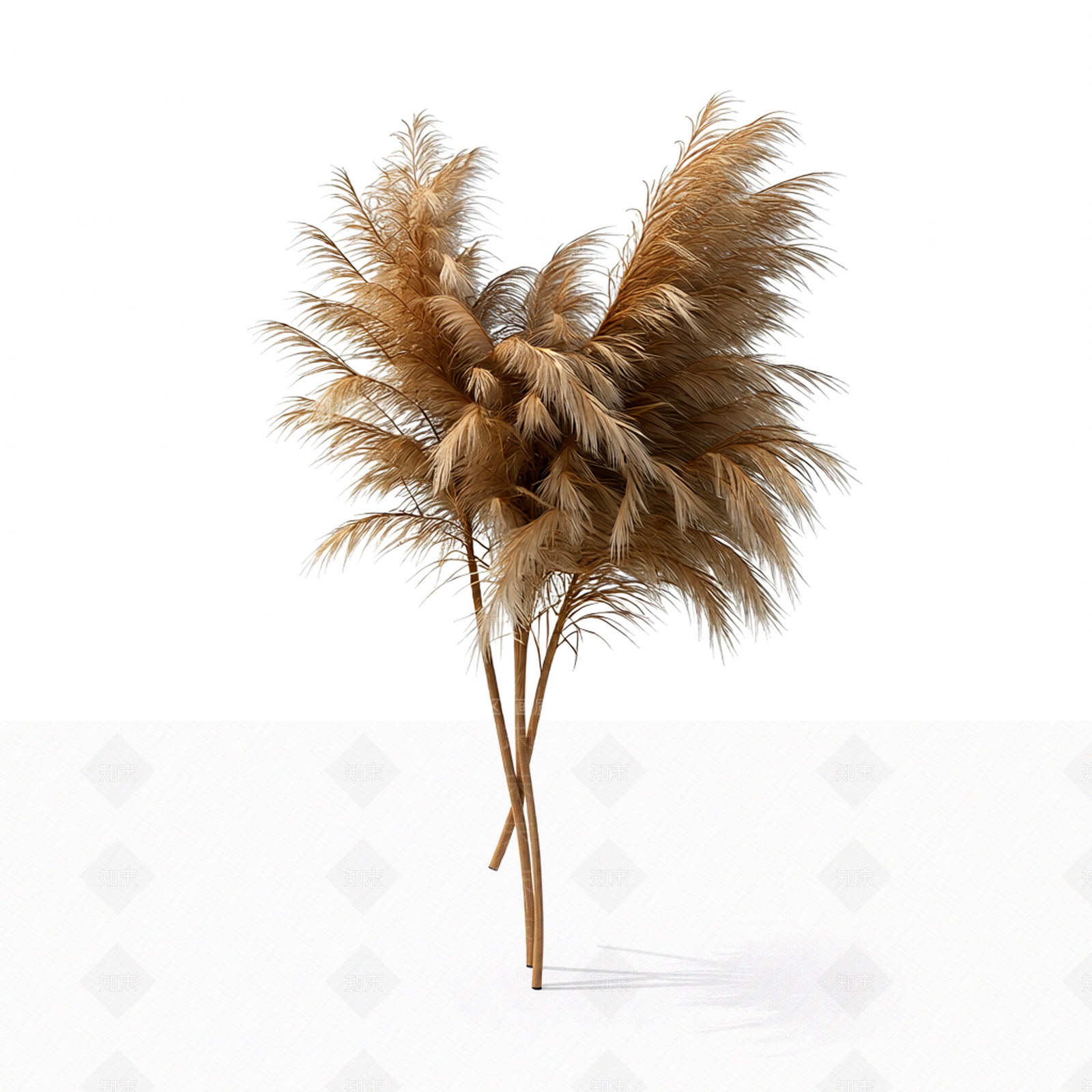 芦苇装饰植物3D模型下载【ID:1206182015】