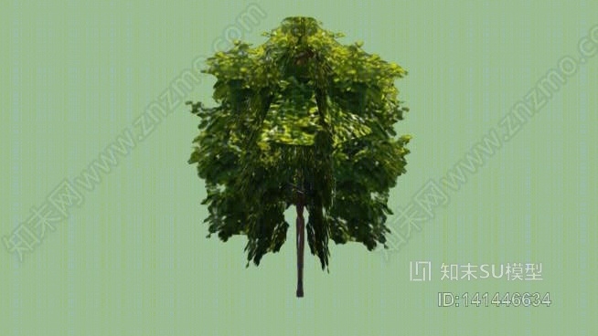 小树02SU模型下载【ID:141446634】