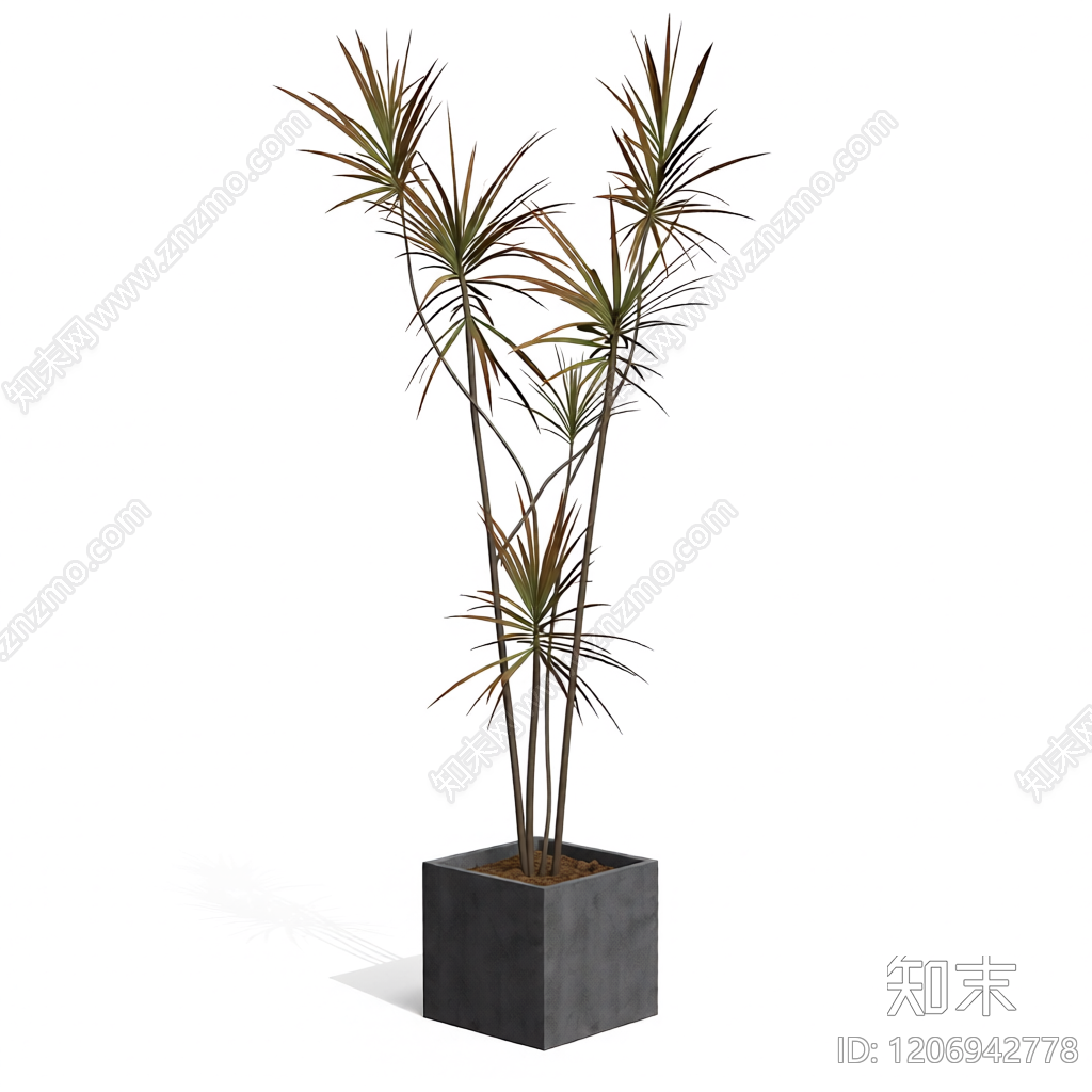 盆栽植物组合3D模型下载【ID:1206942778】