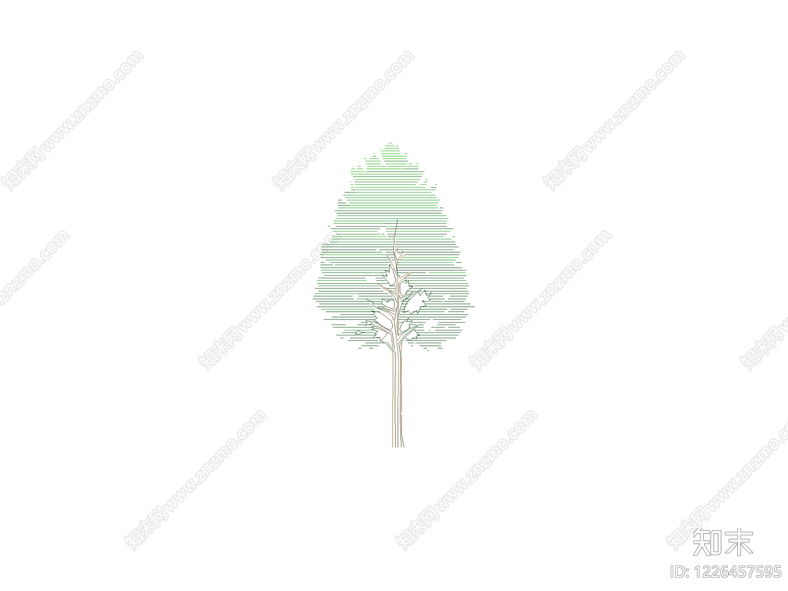 乔木种植CAD图纸
