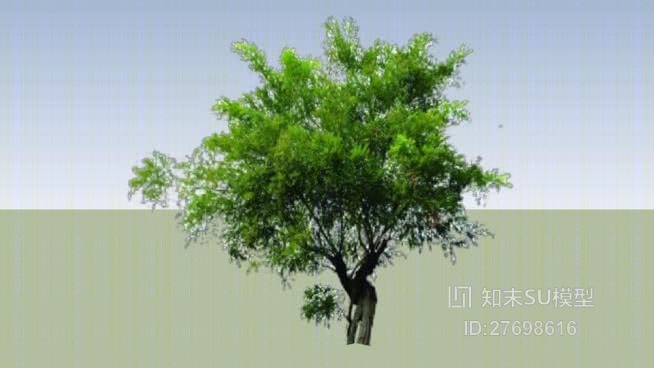 树SU模型下载【ID:27698616】