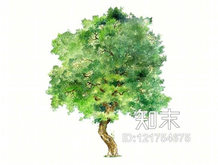 2D水彩风格树SU模型下载【ID:121754675】