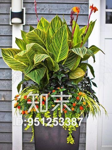 植物墙贴图下载【ID:951253387】
