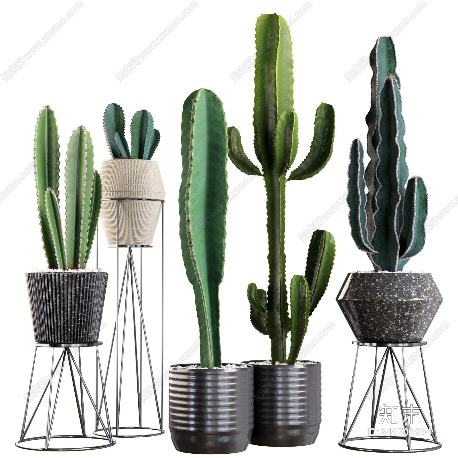 现代室内植物盆景组合3D模型下载【ID:341709894】