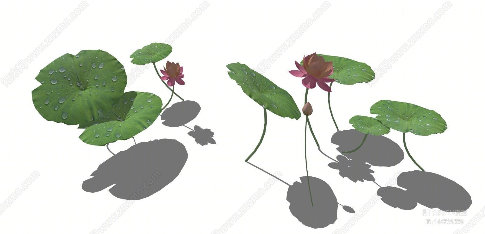 中式荷花SU模型下载【ID:144763556】