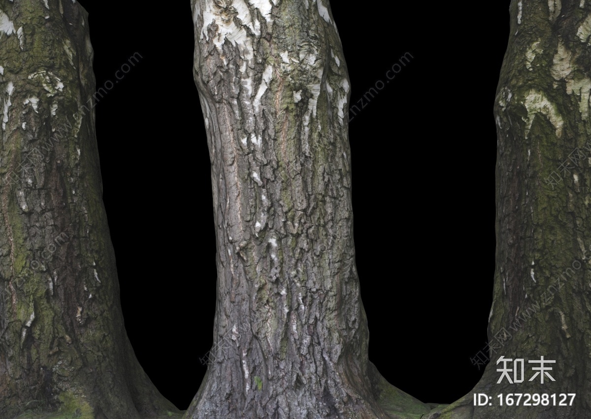 影视级的树干，树桩，树CG模型下载【ID:167298127】