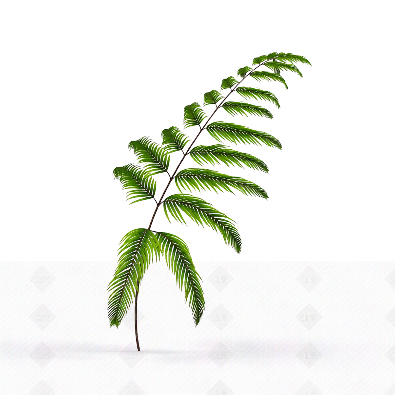 绿色枝叶植物模型3D模型下载【ID:1206186827】