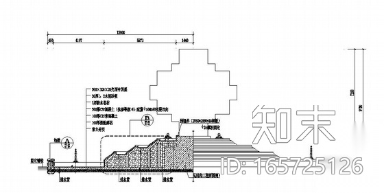 山东某学院园林景观施工图cad施工图下载【ID:165725126】