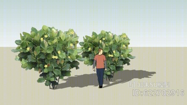 杜鹃属SU模型下载【ID:622702916】