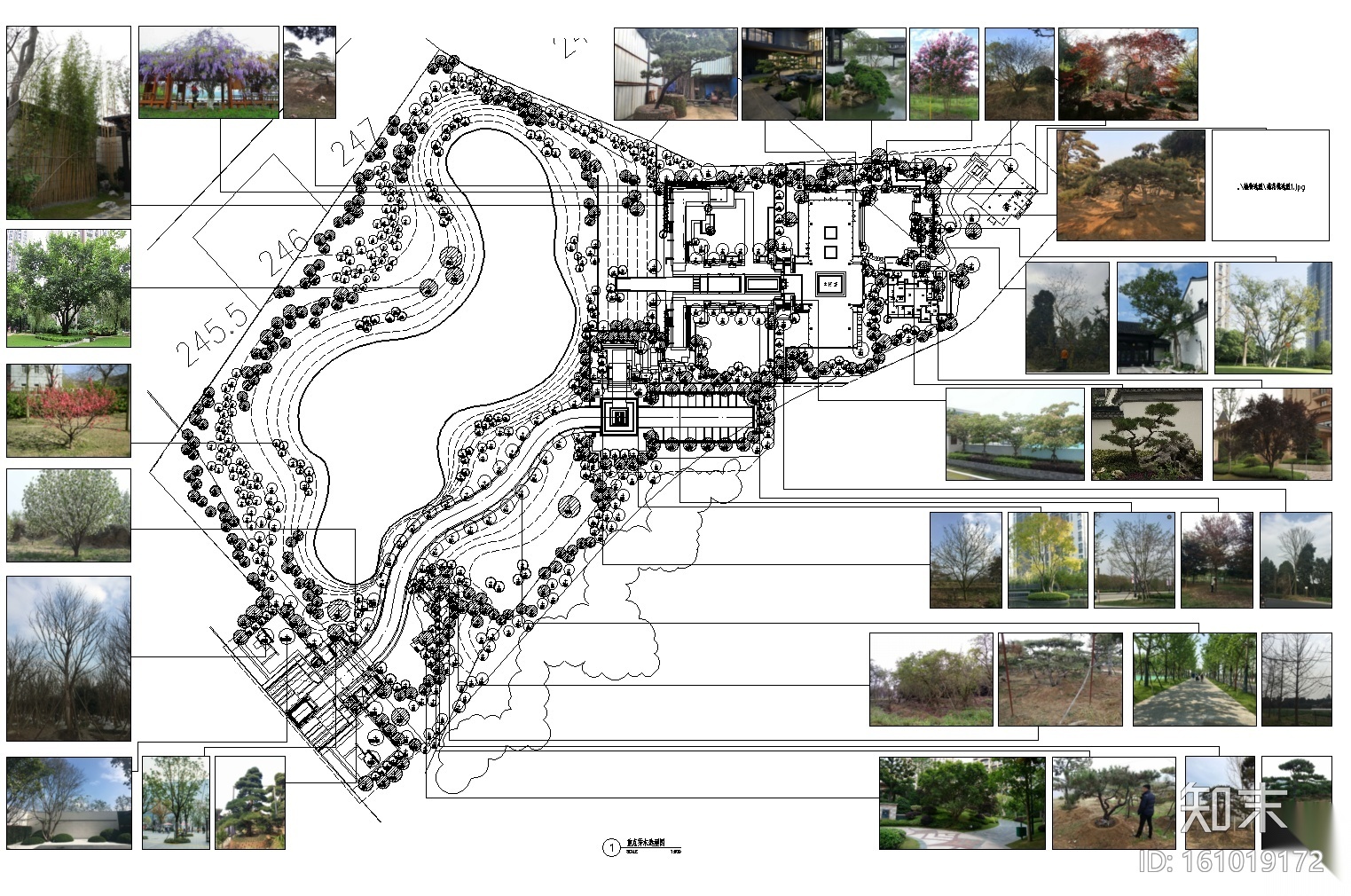 ​[重庆]龙湖九里晴川植物配置CAD+SU+实景施工图下载【ID:161019172】