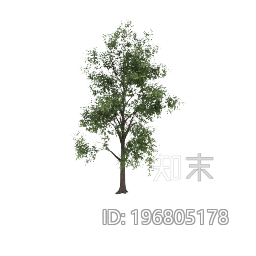 植被下载【ID:196805178】