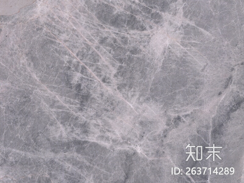 万里石银貂2贴图下载【ID:263714289】