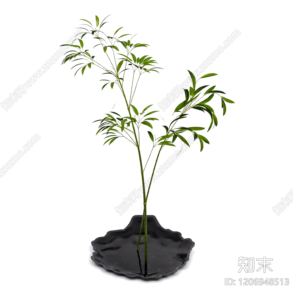 盆栽植物带花盆3D模型下载【ID:1206948513】