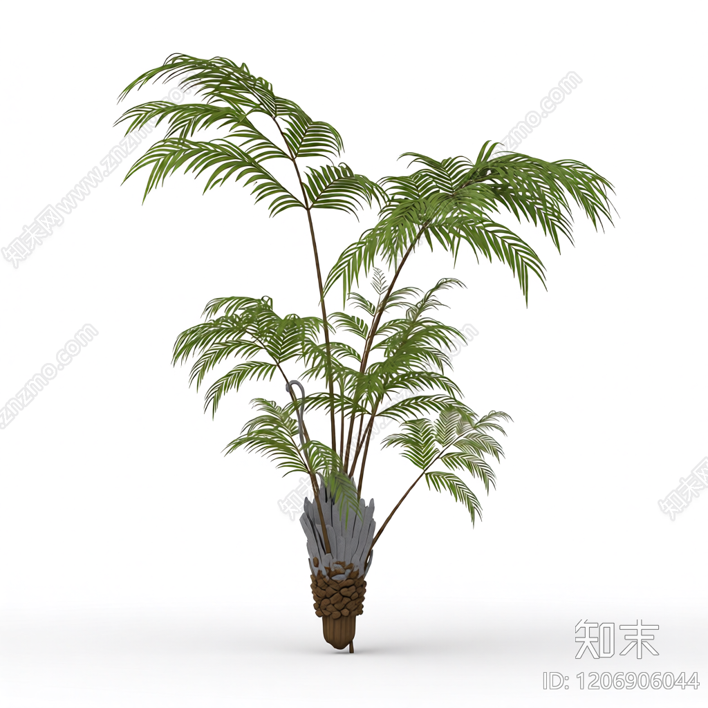 盆栽蕨类植物3D模型下载【ID:1206906044】