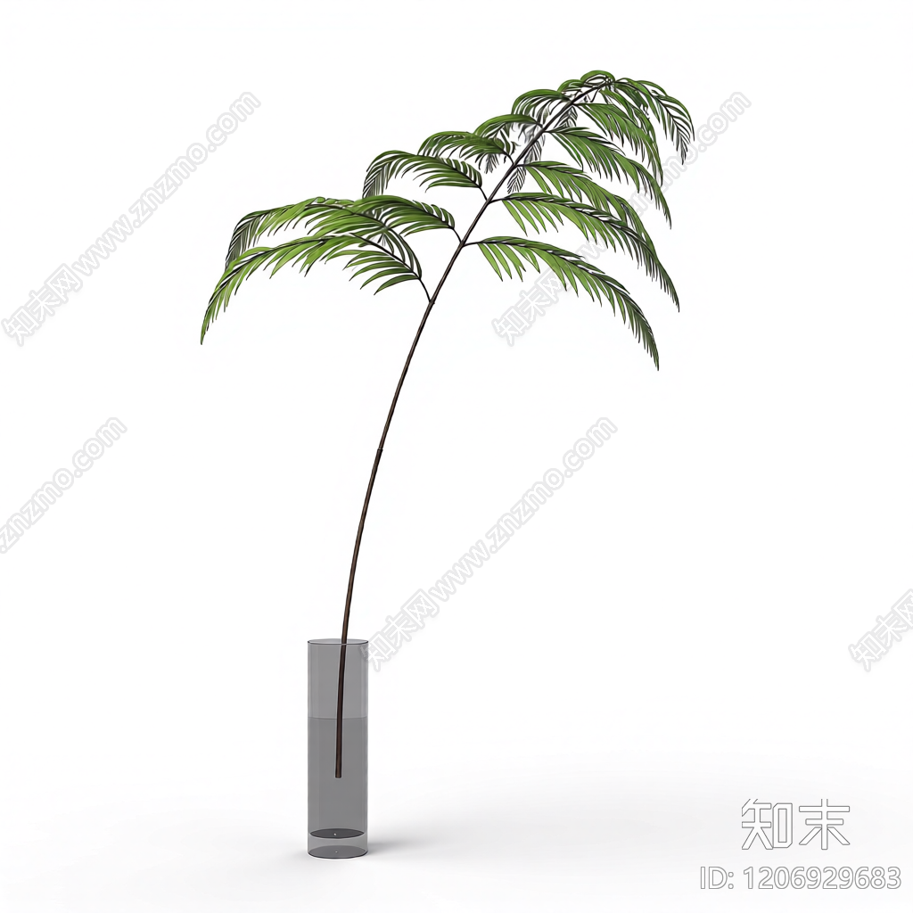 盆栽蕨类植物3D模型下载【ID:1206929683】