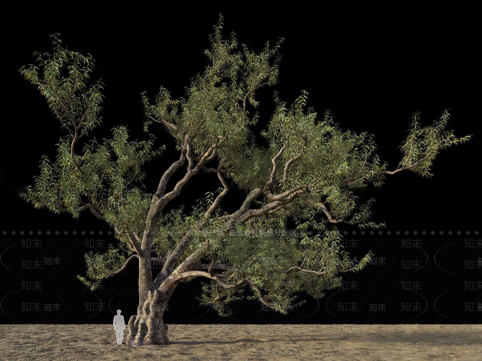 现代绿植树木3D模型下载【ID:1110181722】