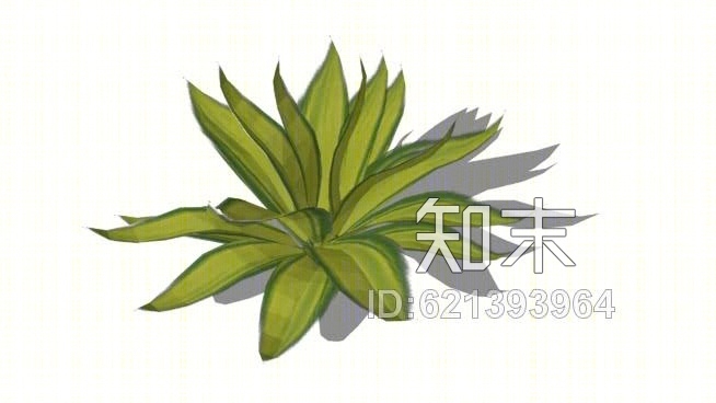龙舌兰是多元化的SU模型下载【ID:621393964】