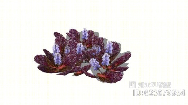 筋骨草'黑'SU模型下载【ID:623079954】