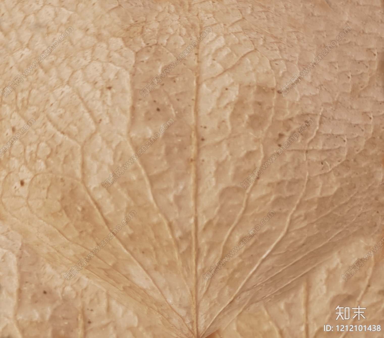 动物皮毛贴图下载【ID:1212101438】