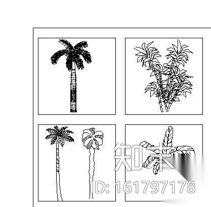 植物立面图400例施工图下载【ID:161797178】