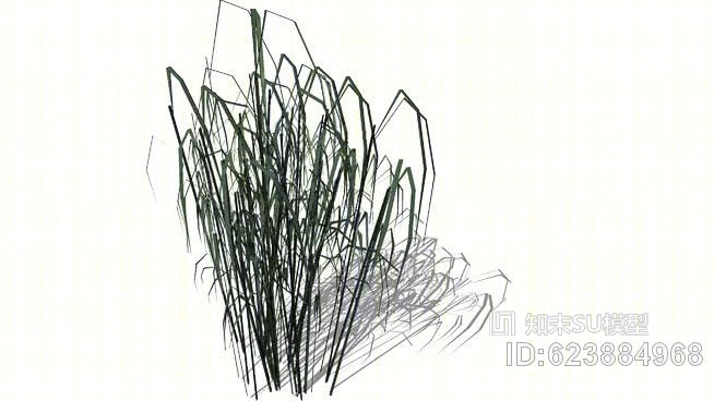 芒草SU模型下载【ID:623884968】