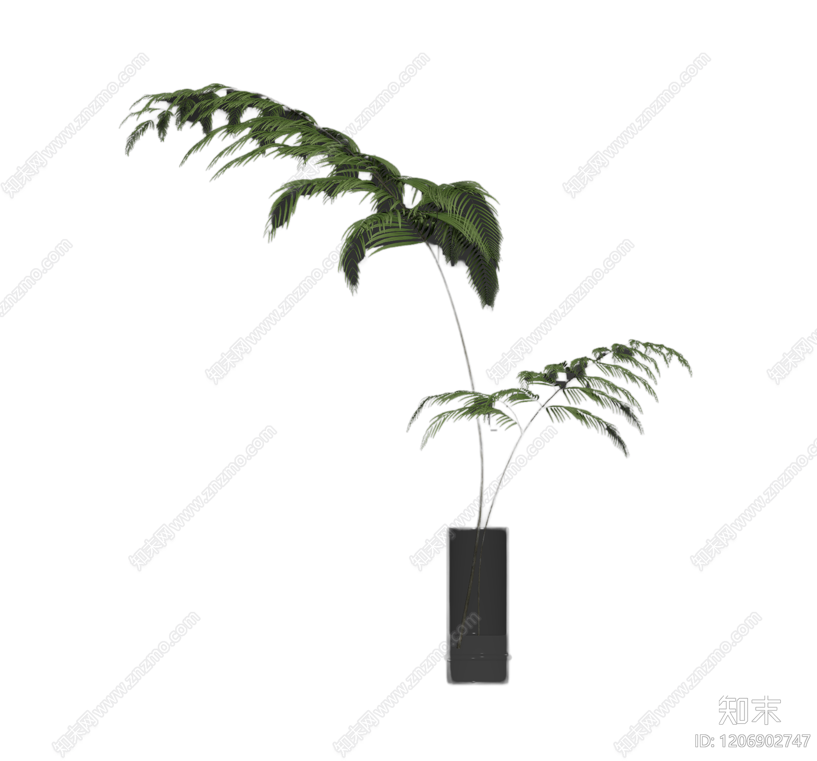 盆栽蕨类植物装饰3D模型下载【ID:1206902747】