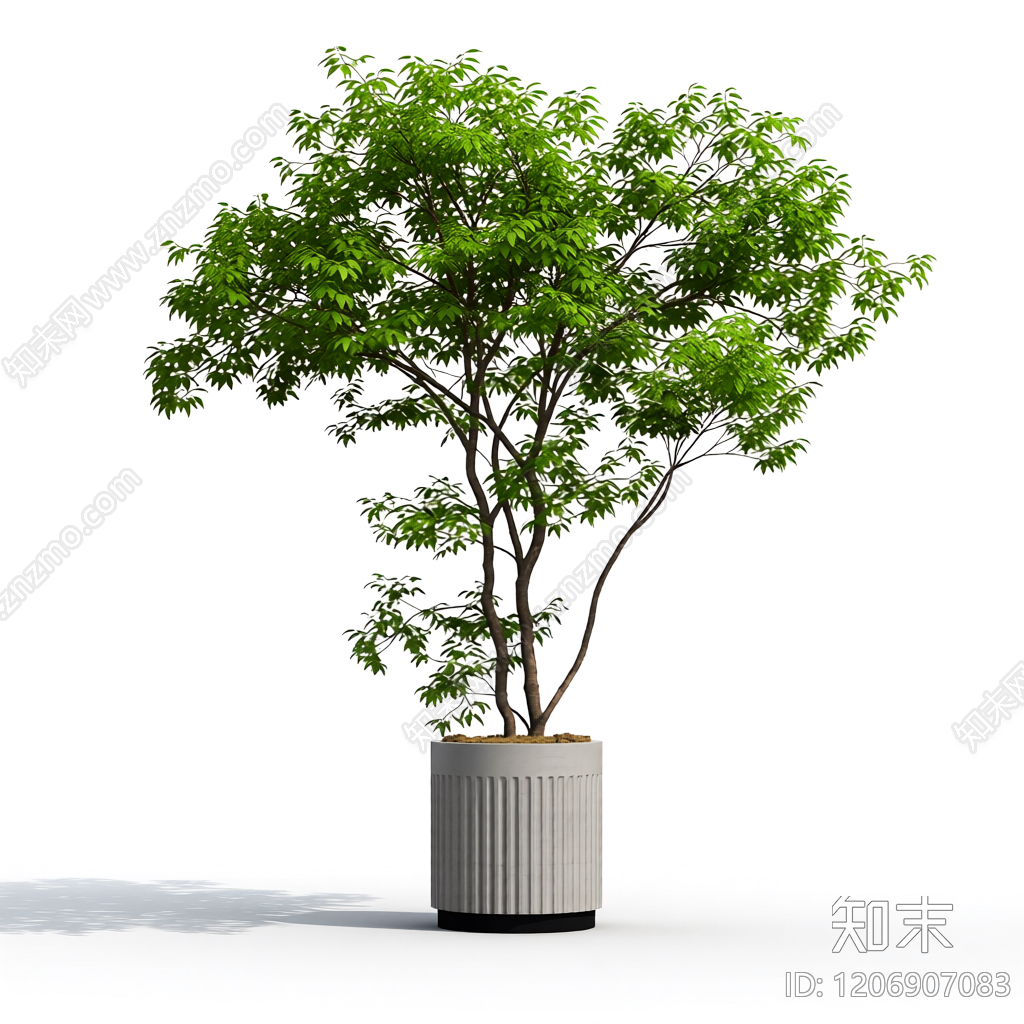 盆栽植物装饰3D模型下载【ID:1206907083】