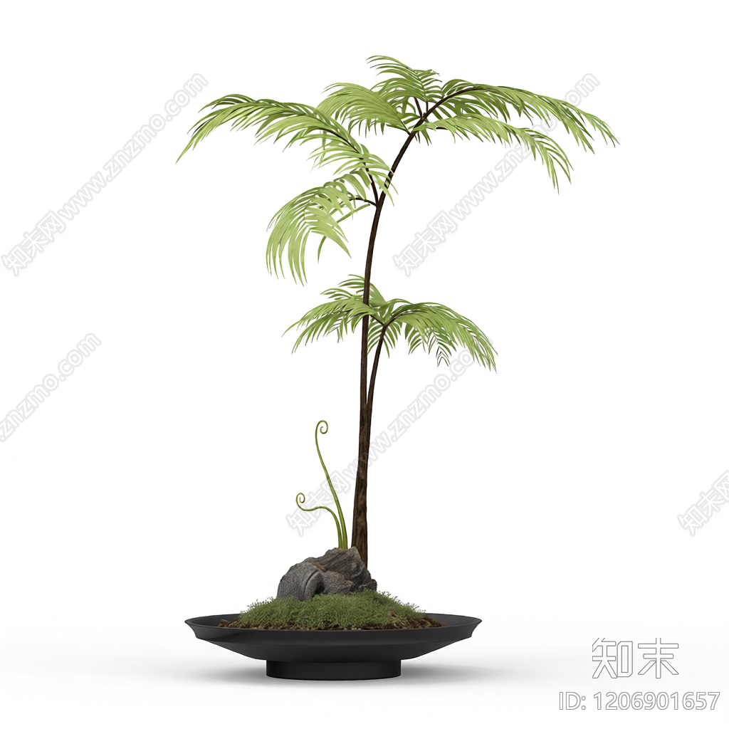盆栽蕨类植物装饰3D模型下载【ID:1206901657】