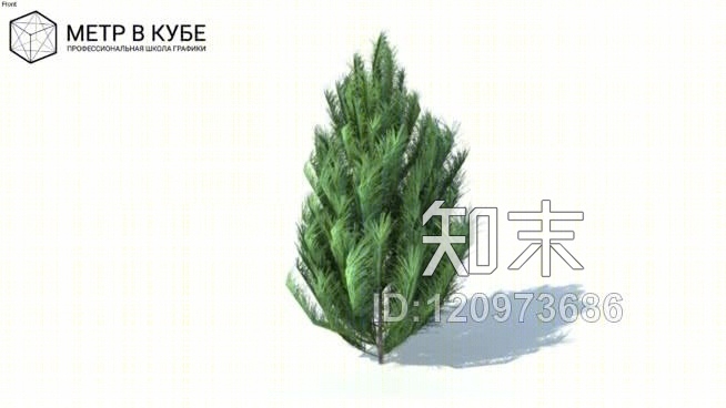 低维3D树布什（030）SU模型下载【ID:120973686】
