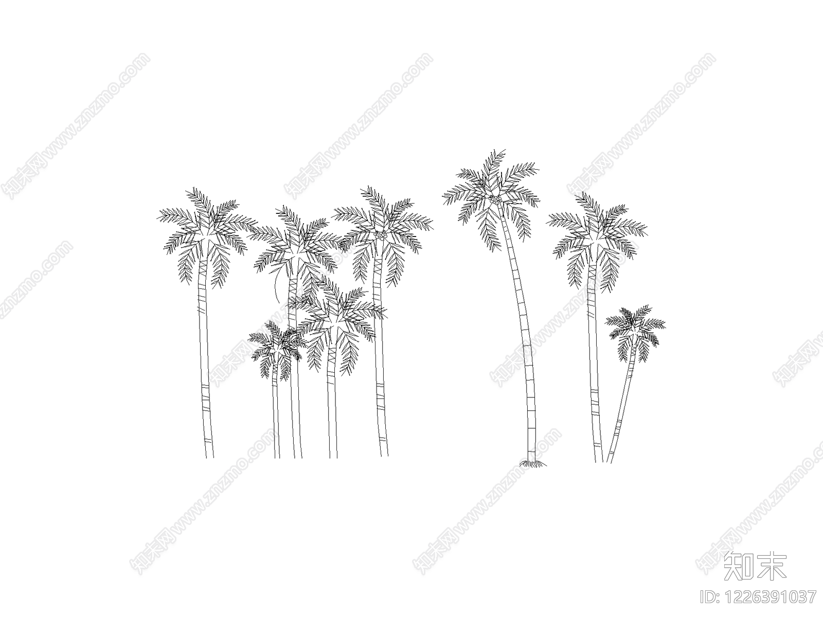 乔木种植CAD图纸