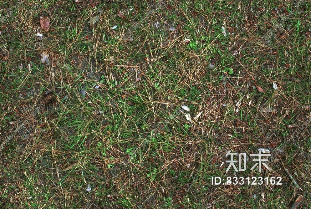 草地贴图下载【ID:833123162】
