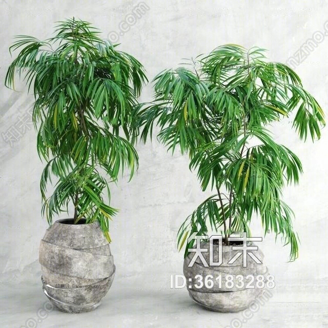 现代绿植盆栽组合3D模型下载【ID:36183288】