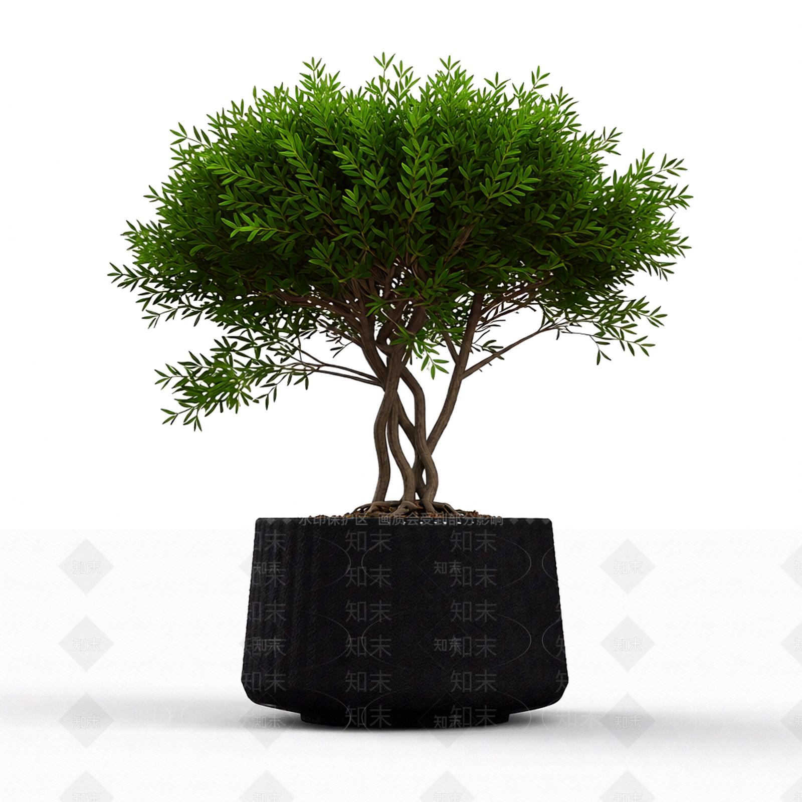 带盆绿植盆栽3D模型下载【ID:1206203774】