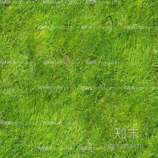 草地贴图下载【ID:52898170】