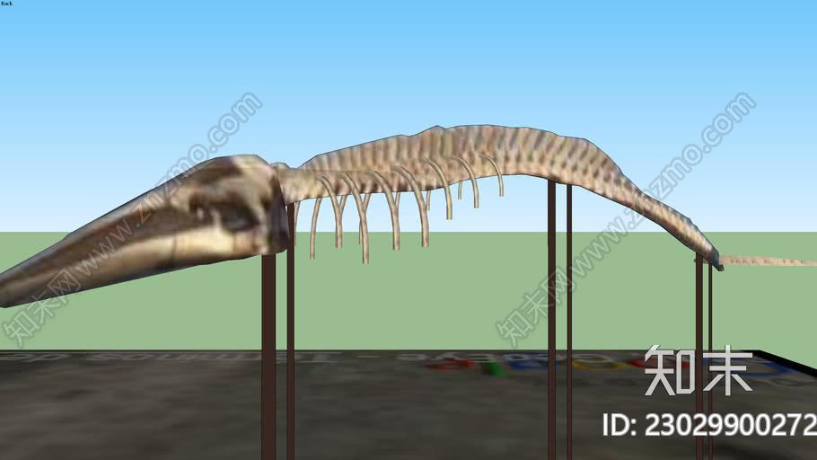 鲸鱼骨架在卡门盐沼SU模型下载【ID:1161899160】