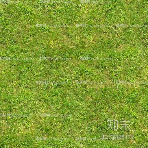 草地贴图下载【ID:52898172】