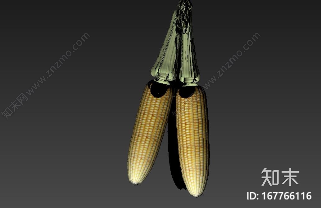 植物CG模型下载【ID:167766116】