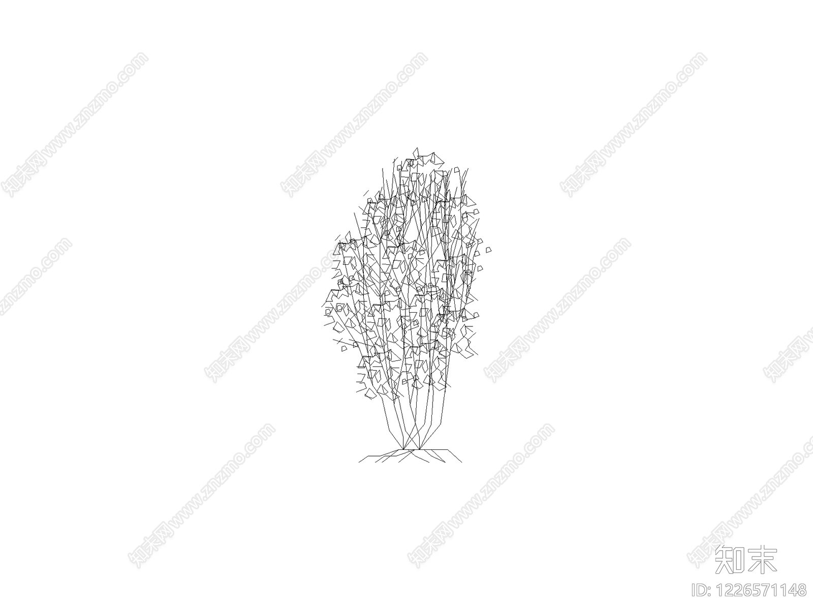 其他灌木种植CAD图纸