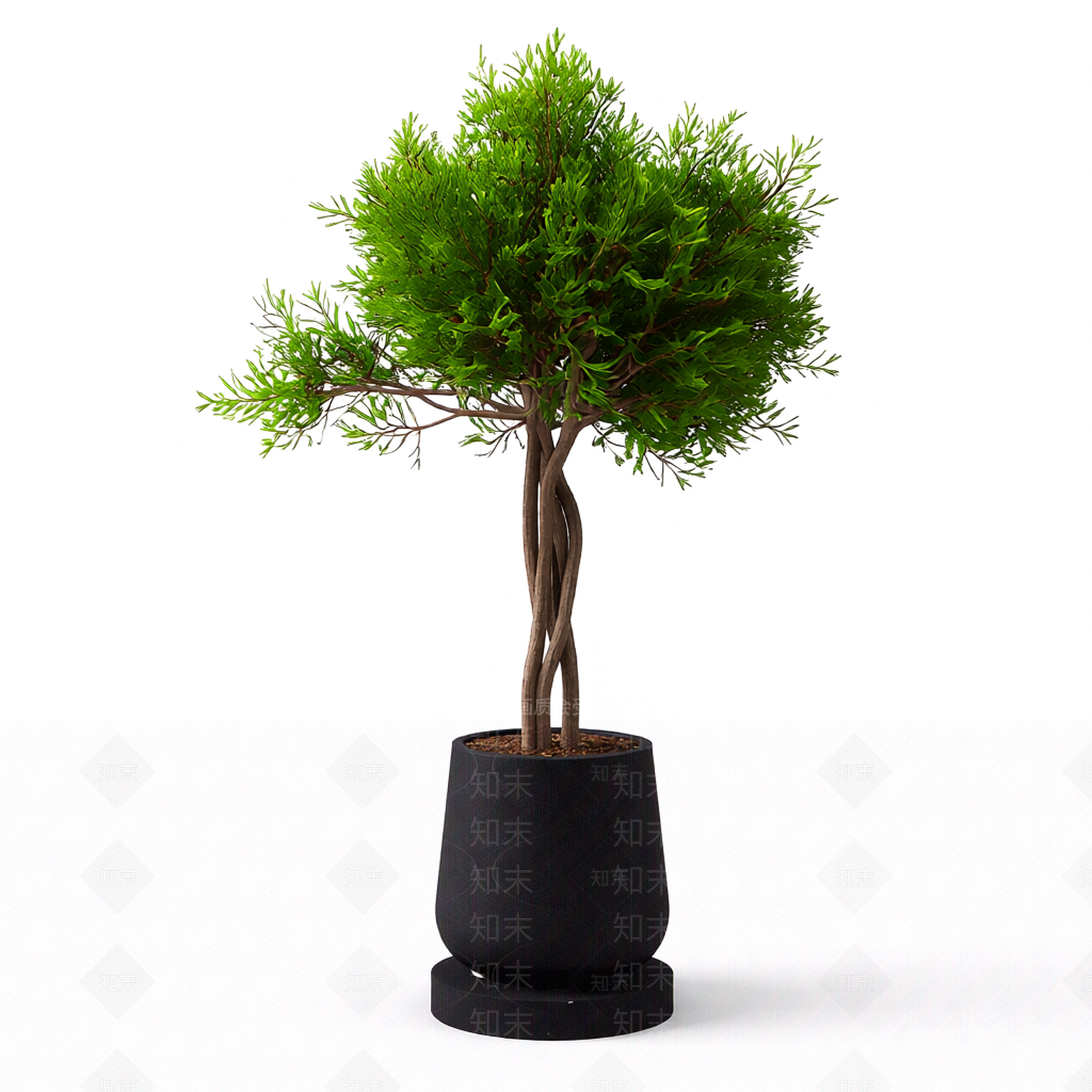 带盆绿植盆栽3D模型下载【ID:1206195880】