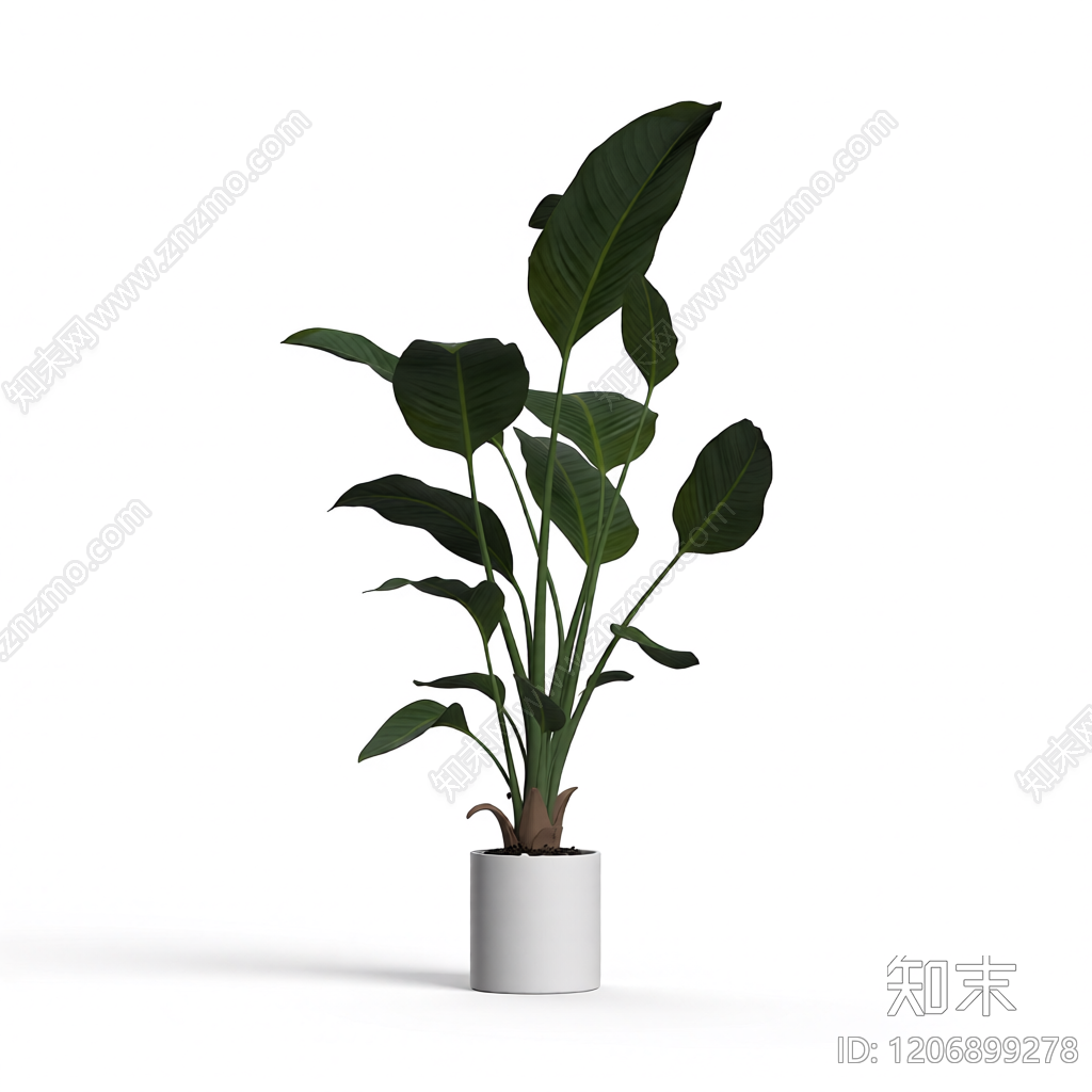 盆栽植物装饰3D模型下载【ID:1206899278】