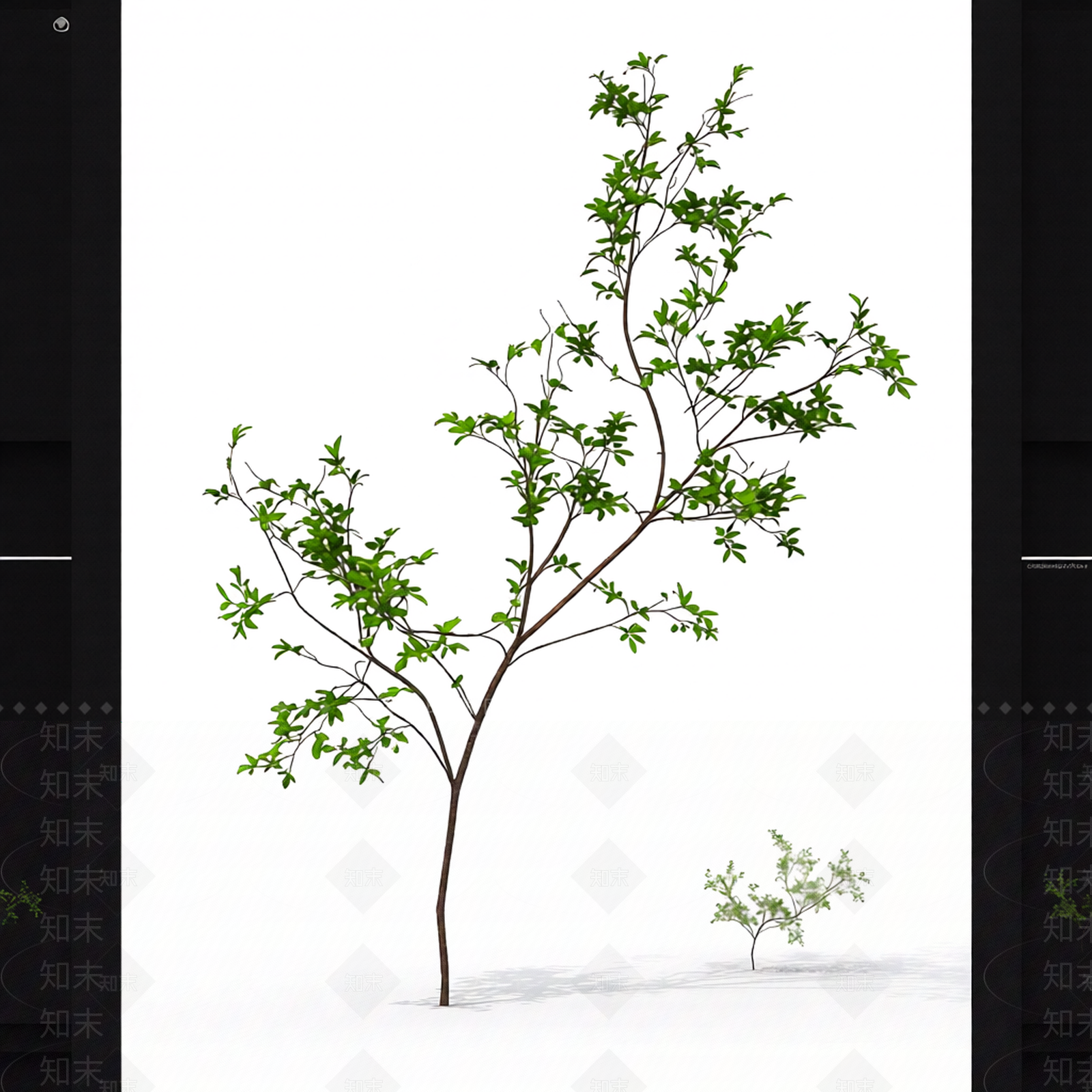 枝叶繁茂的植物模型3D模型下载【ID:1206195067】