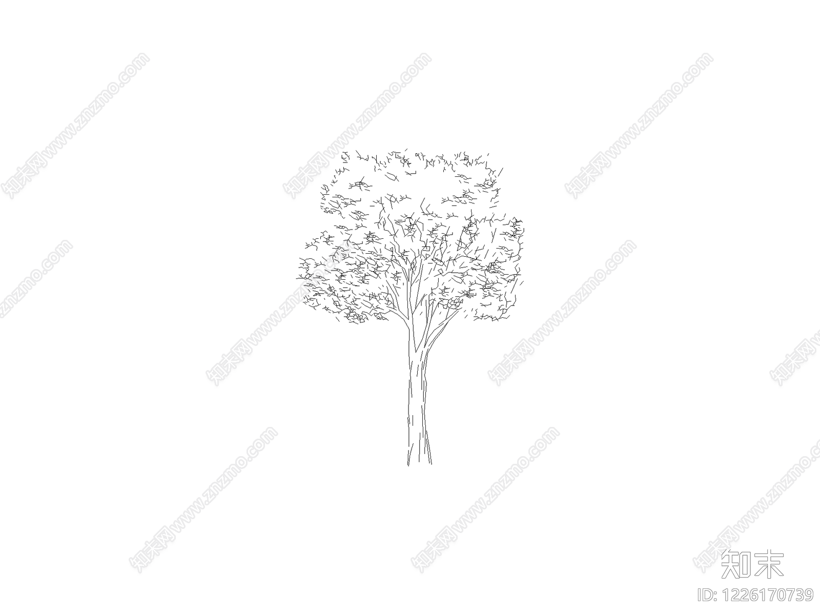 现代乔木种植CAD图纸