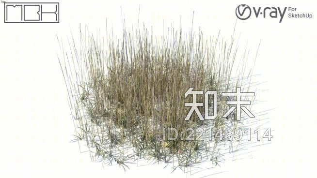 草，高聚合，VRY准备（041）SU模型下载【ID:221489114】