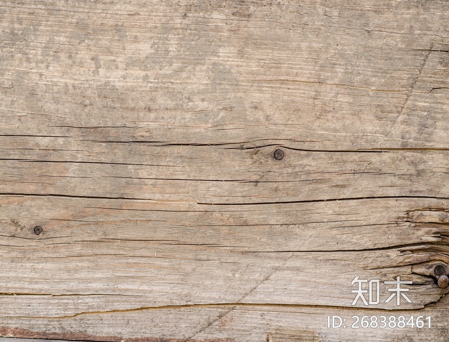 树皮贴图下载【ID:268388461】