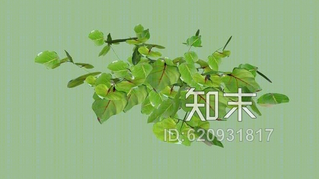 植物SU模型下载【ID:620931817】